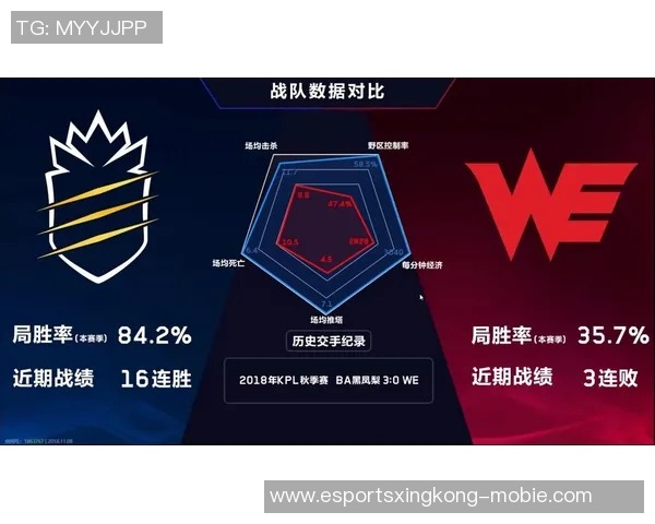 王者荣耀战术深度解析聚焦WE战队的独特策略与团队配合